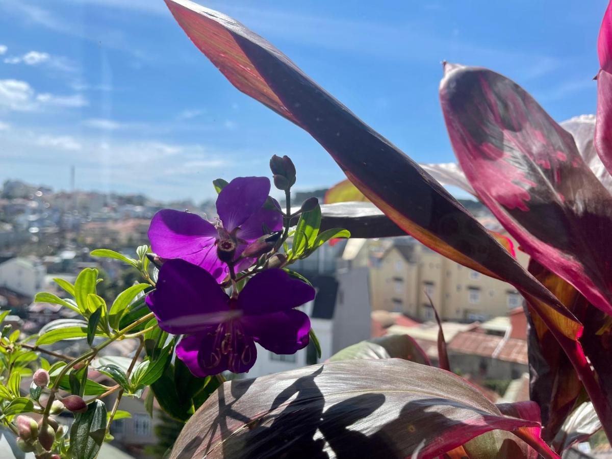דה לאט An Nhi Hotel מראה חיצוני תמונה